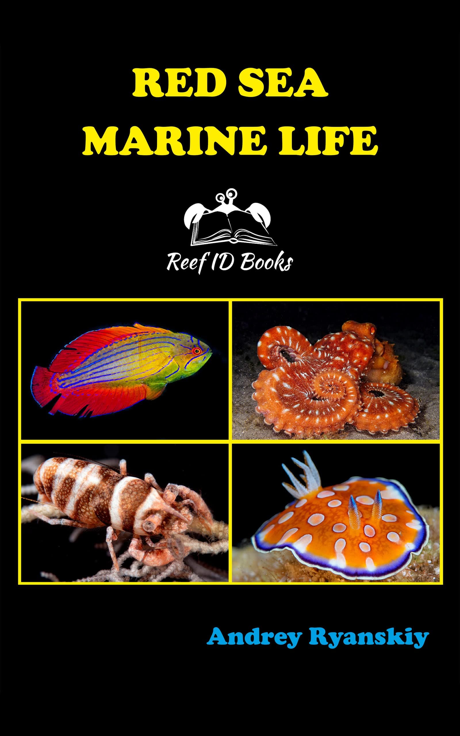 Red Sea Marine Life