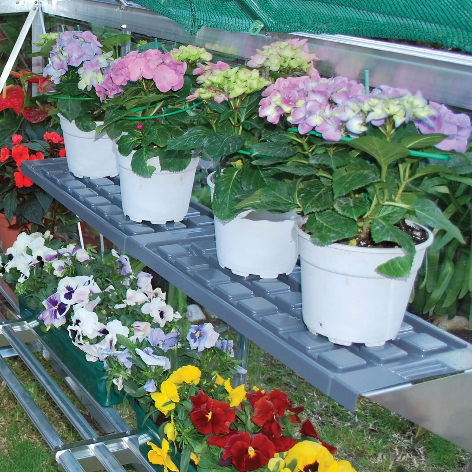 Palram Canopia Greenhouse Accessory Twin Shelf Kit
