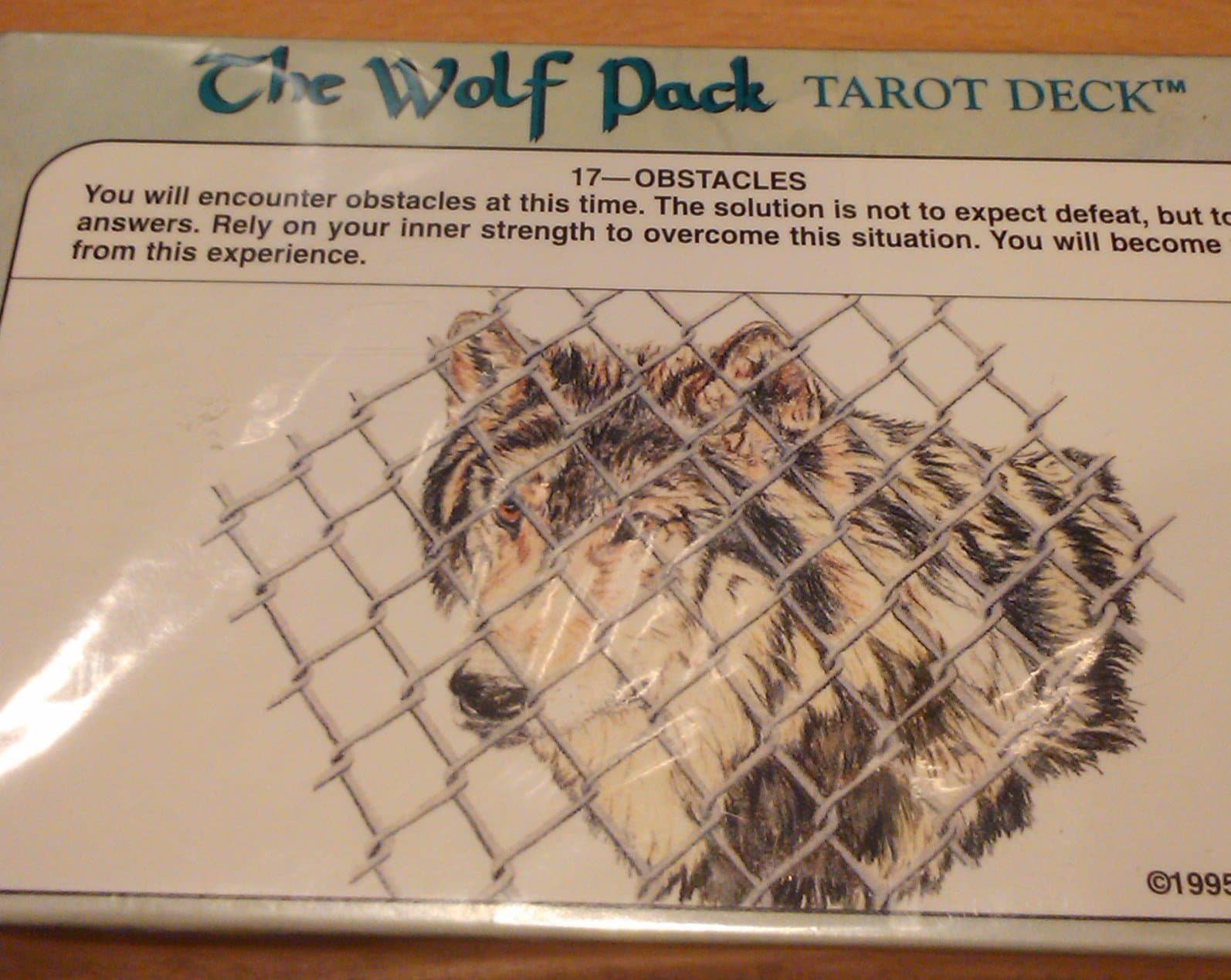 The Wolf Pack Tarot Deck Paperback – January 1, 1995