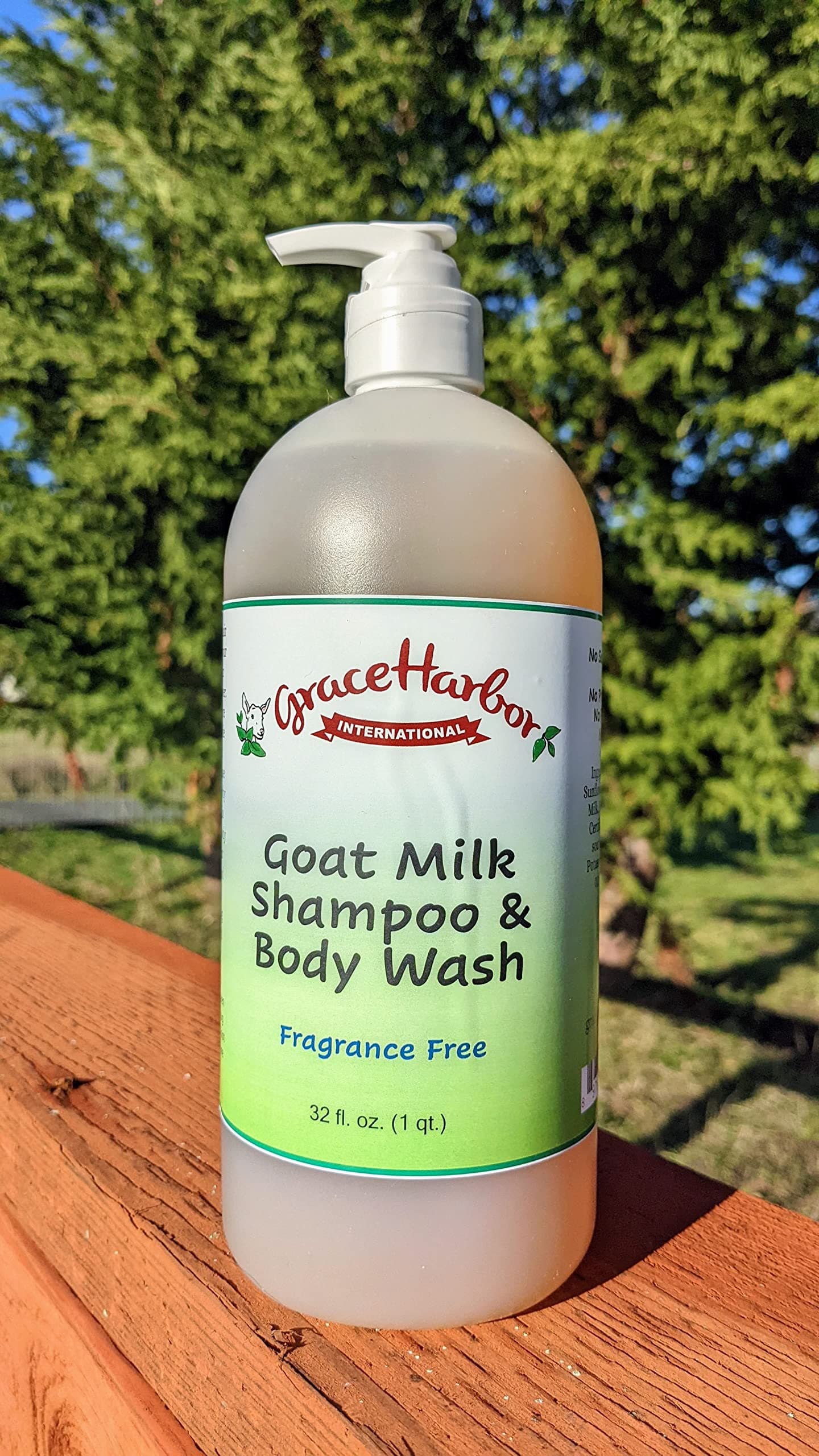 Shampoo and Body Wash, 32 oz Bottle