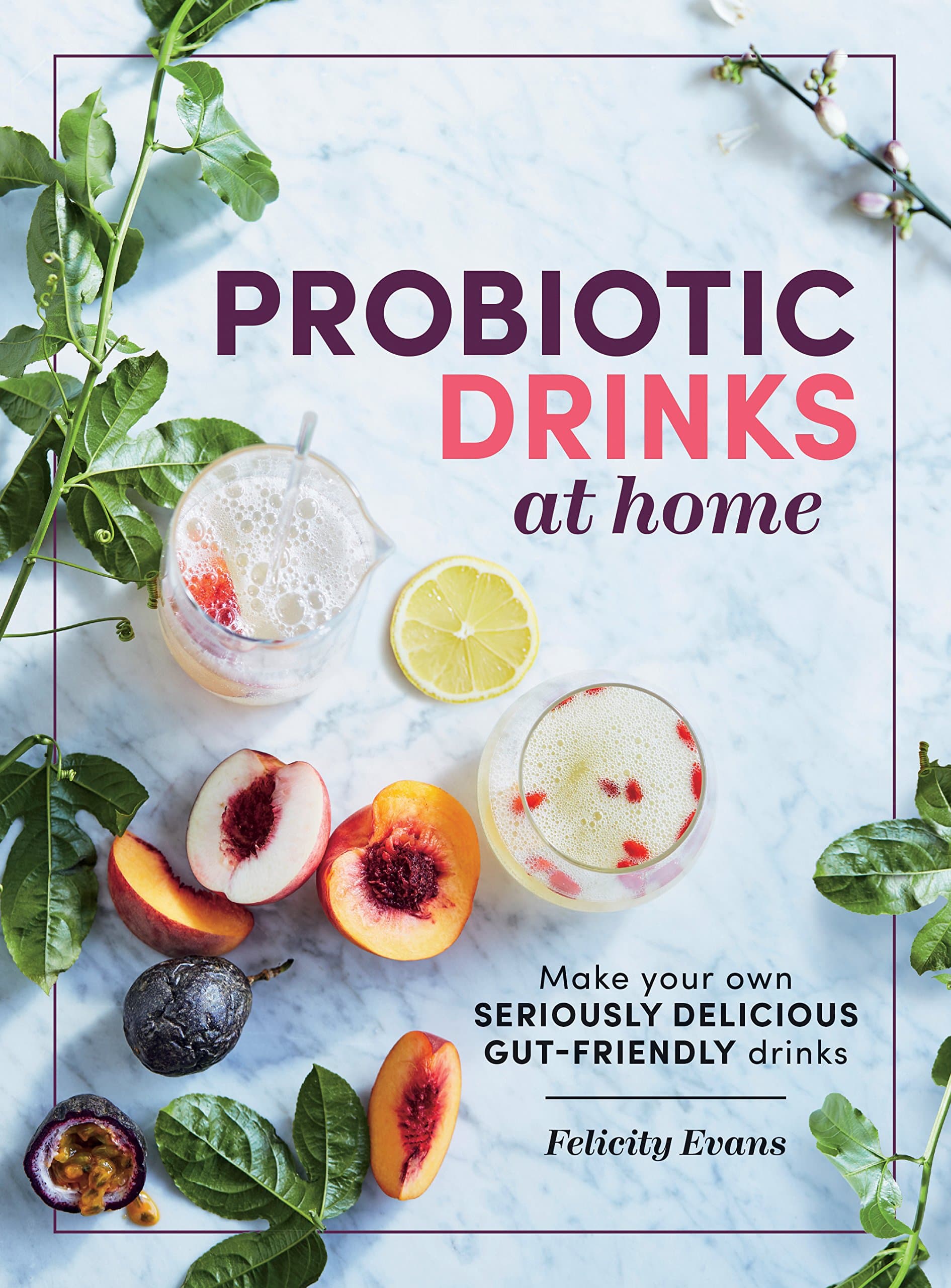 Probiotic Drinks At Home Paperback – July 13, 2017