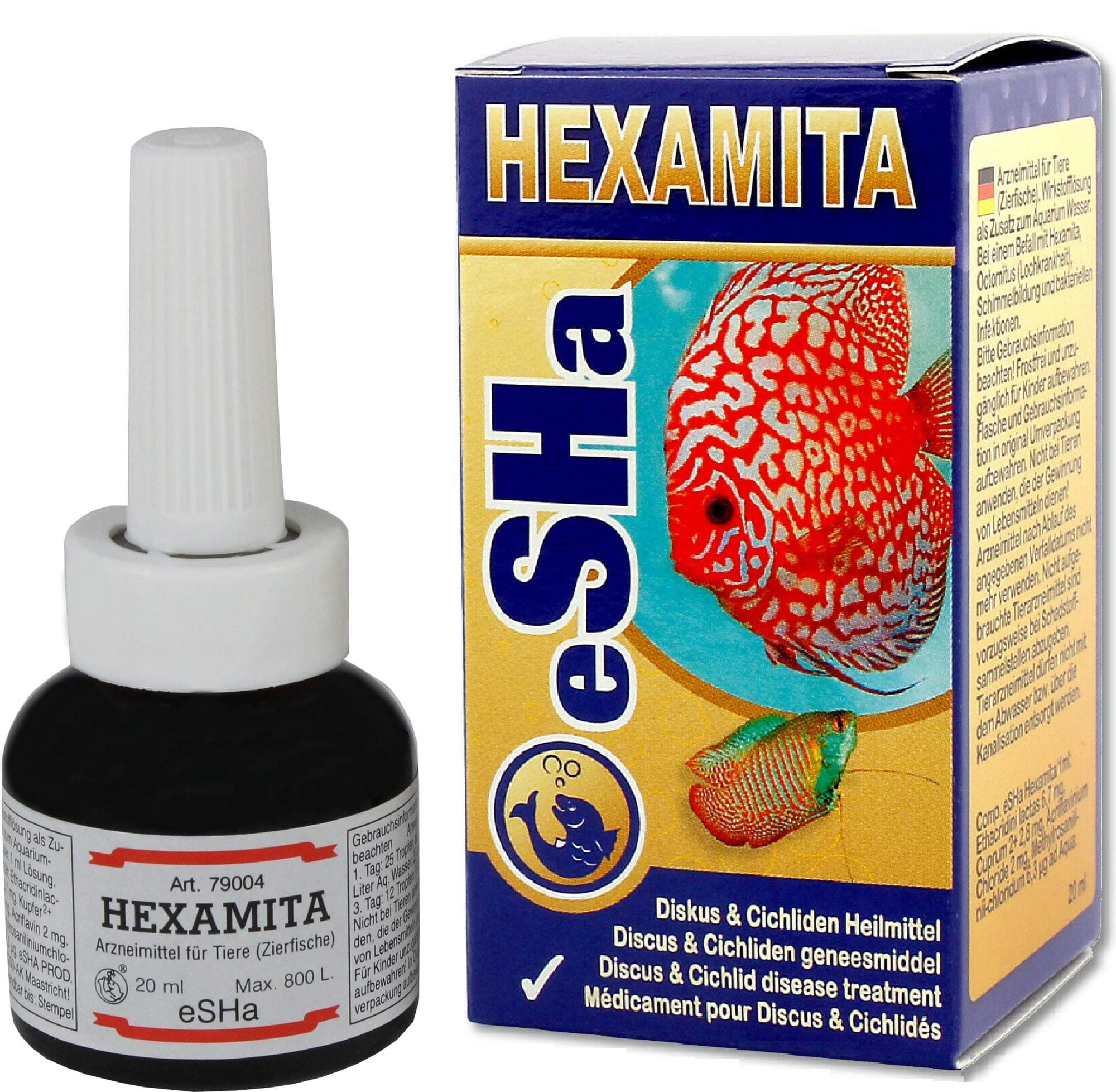 Hexamita