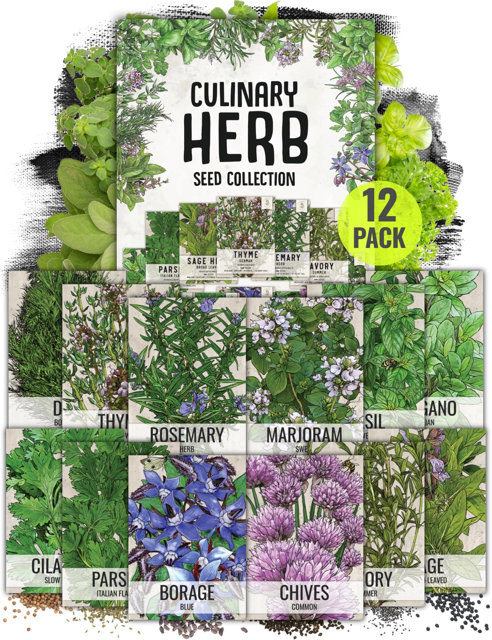 Seed Needs Herb Seeds Variety Pack Culinary Herb Collection (12 Individual Packets for Planting Indoors or Outdoors) Grow Your Own Herb Garden - Heirloom, Non-GMO