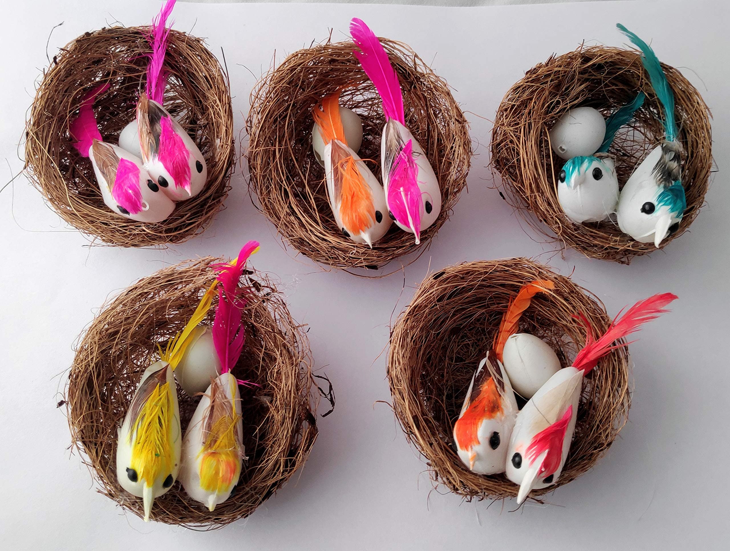 3A FEATURETAIL Artificial Mini Birds with Nest for School Projects/Model Making/DIY Crafts (Multicolour, Plastic, Pack of 5 Pcs)