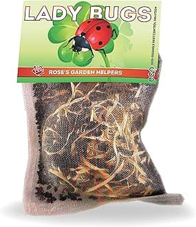 1500 Pre-Fed Live Ladybugs for Aphid Control | Hippodamia Convergens | Mesh Bag (1500)