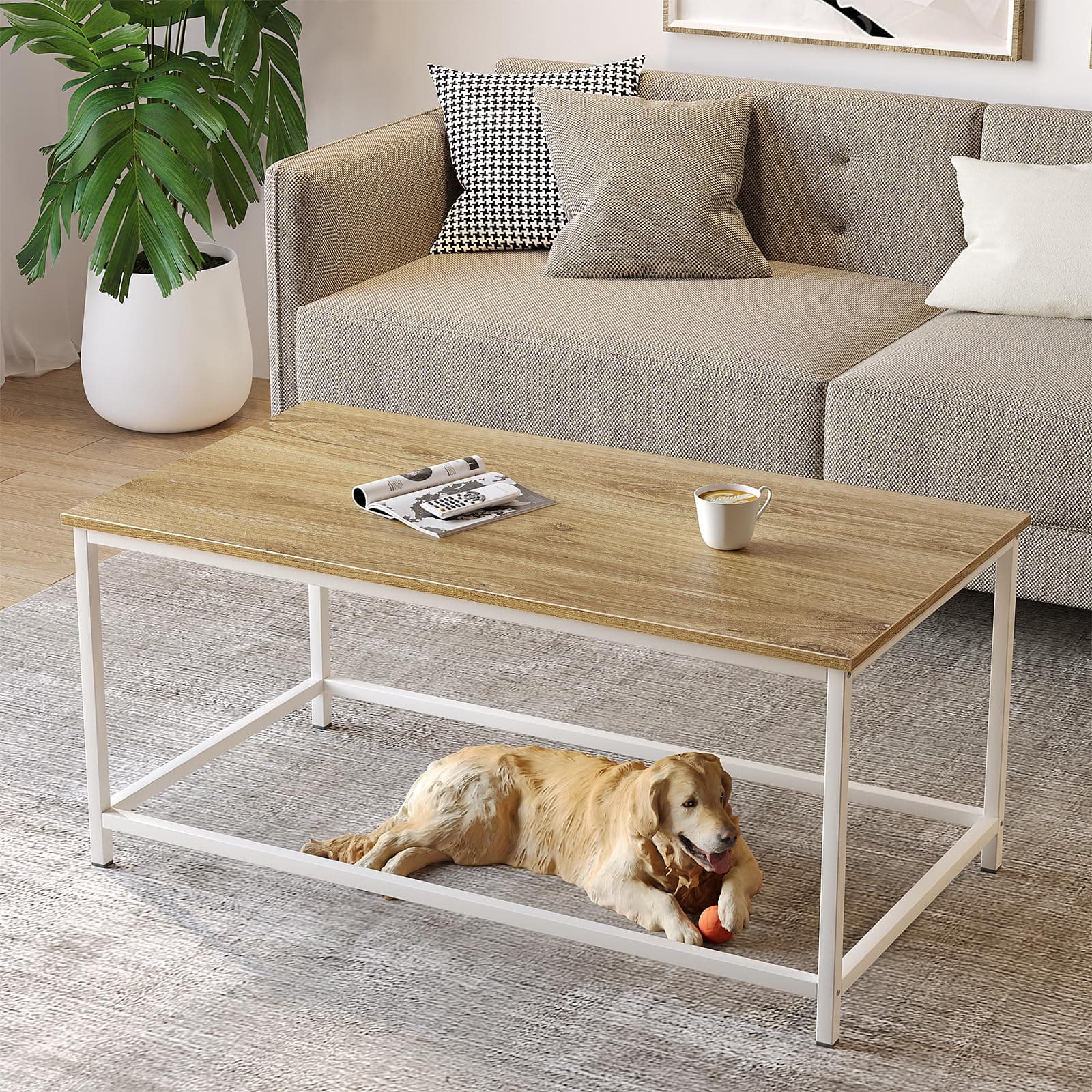 SAYGOER Coffee Table Simple Modern Coffee Tables Open Design Rectangular Minimalist Center Table for Living Room Home Office Easy Assembly 100x 50x 45cm, Oak White