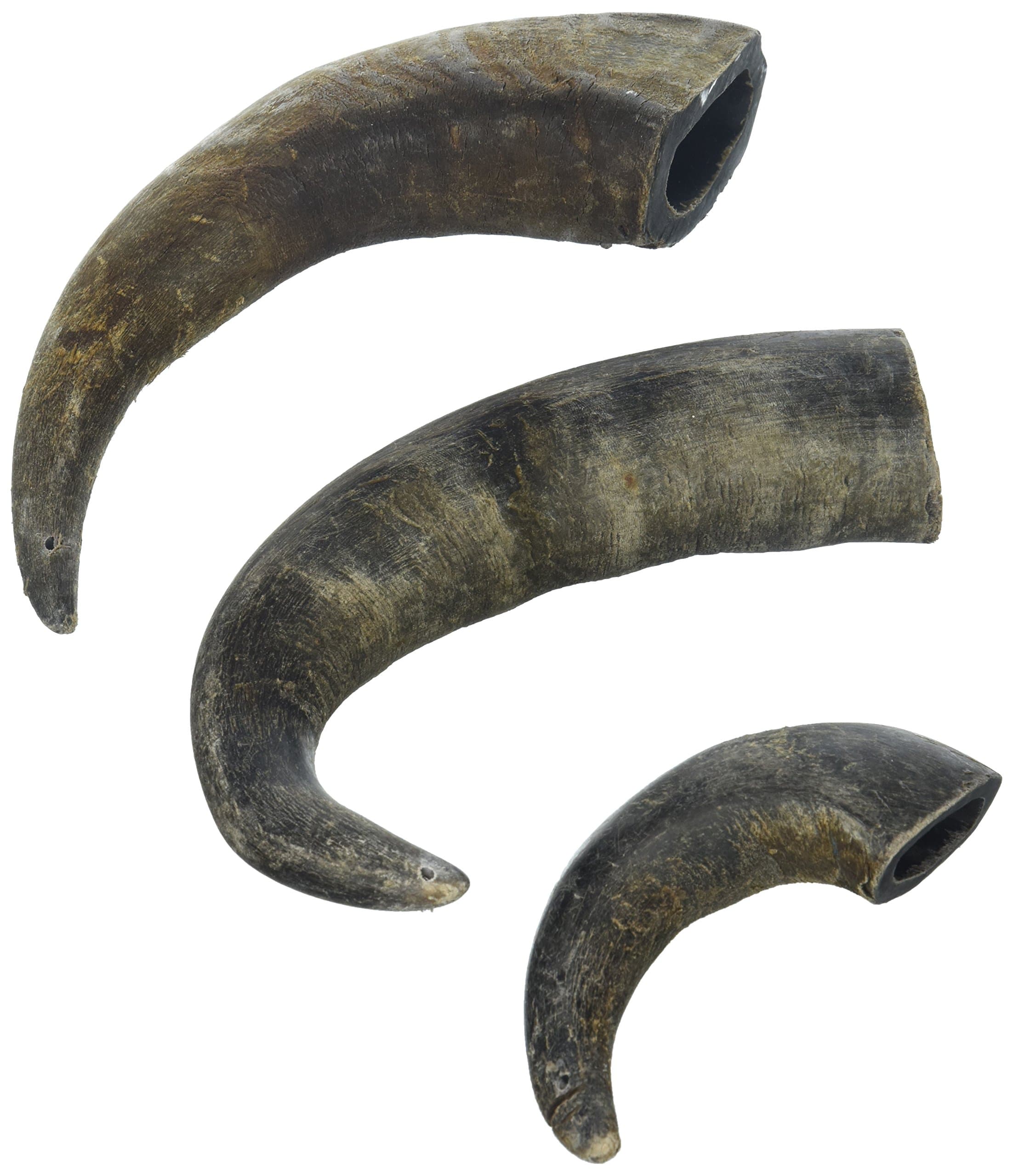 Buffalo Horn (3 Pack), One Size
