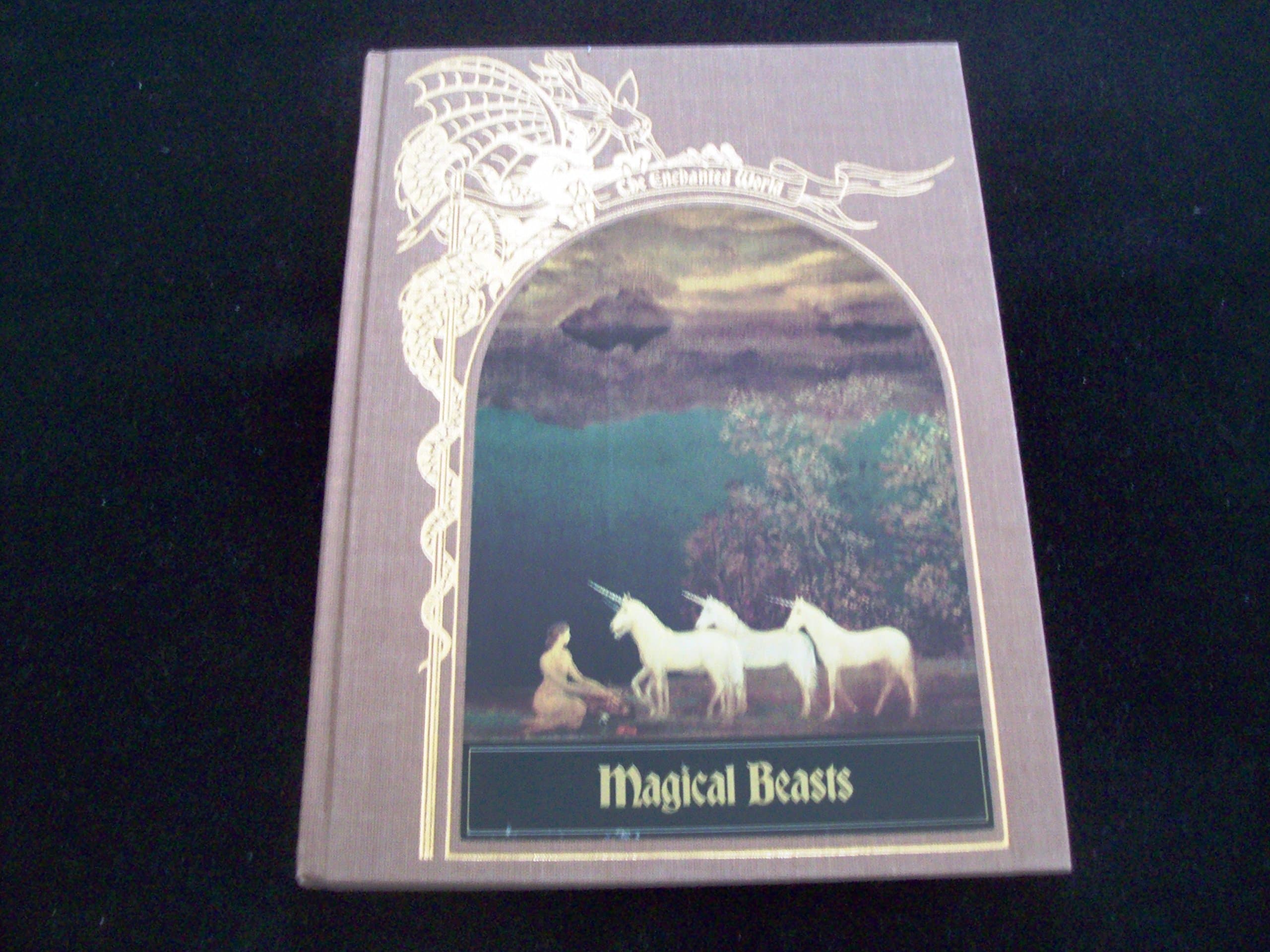 Magical Beasts (Enchanted World Series)