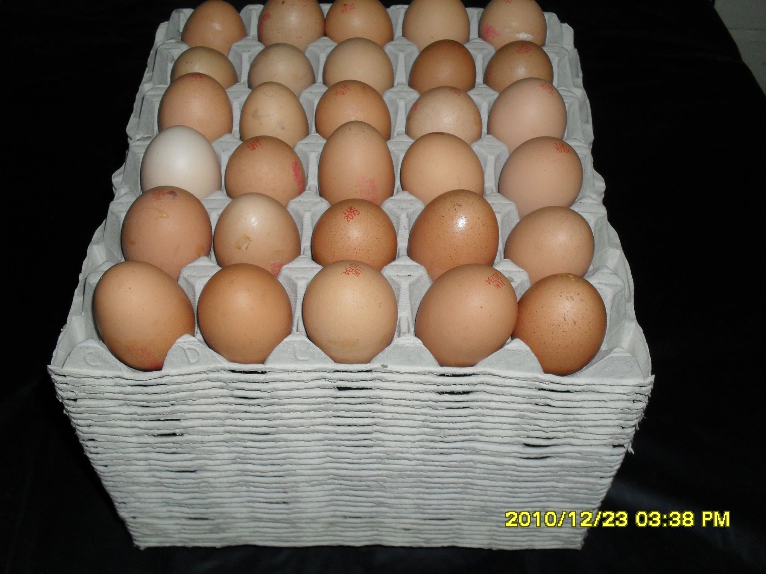 75 x EGG TRAYS (NEW , GREY COLOUR) HOLDS 30 EGGS