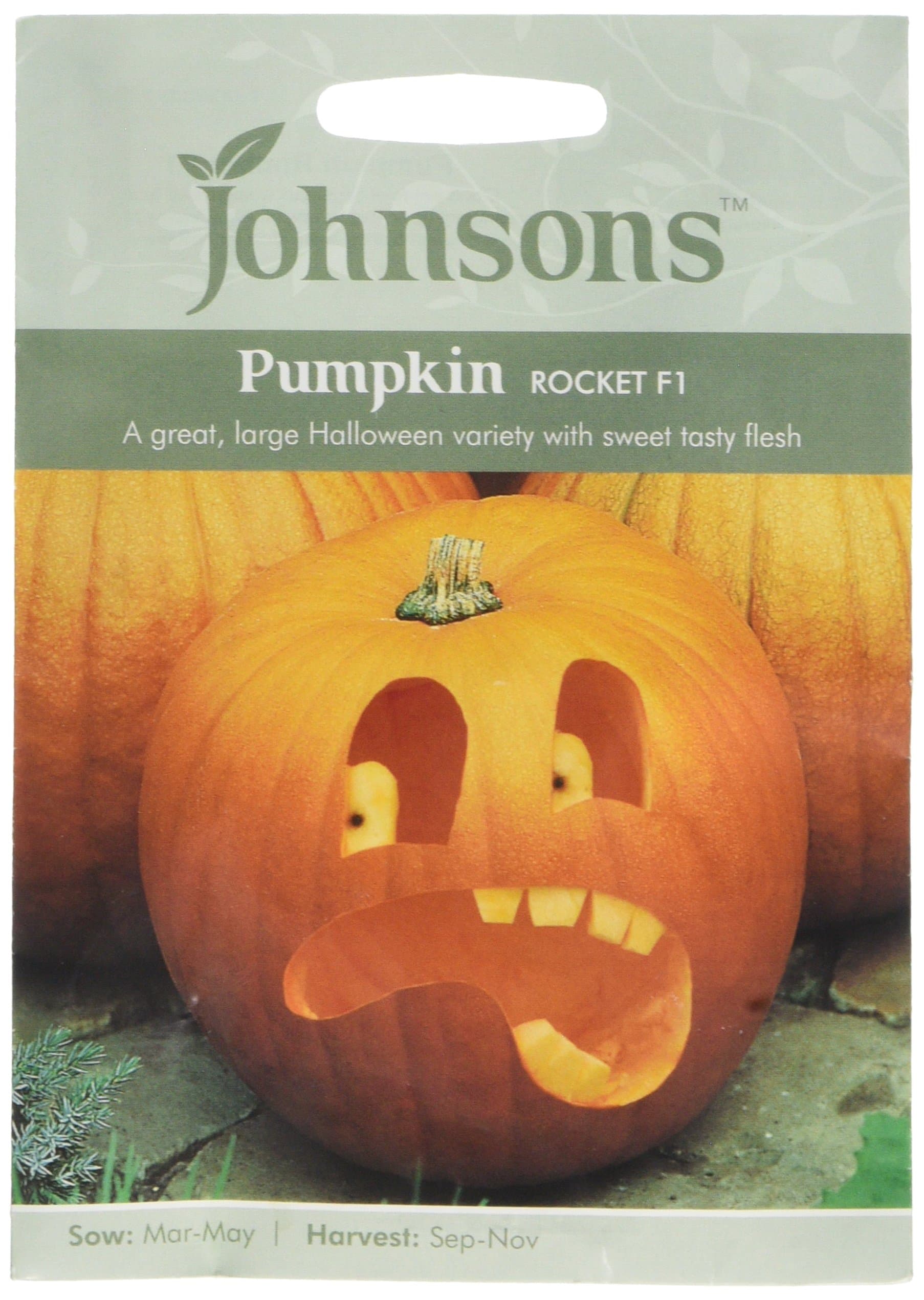 Johnsons Seed Pumpkin Rocket F1 Seed 20052