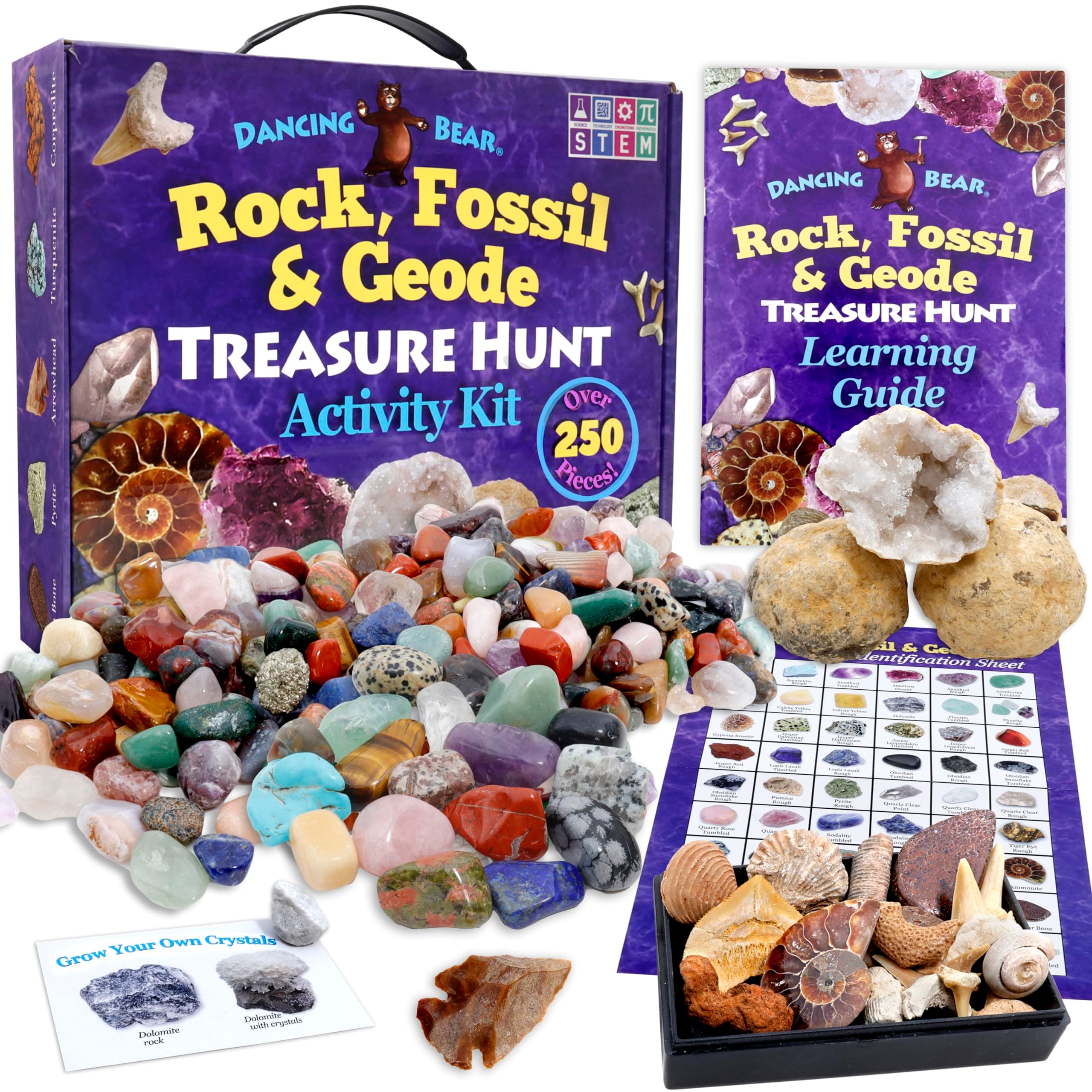 Rock, Mineral & Geodes Treasure Hunt Activity Kit (250 Pc Set) Real Shark Teeth Fossils, ID Sheet & Rock Book, STEM