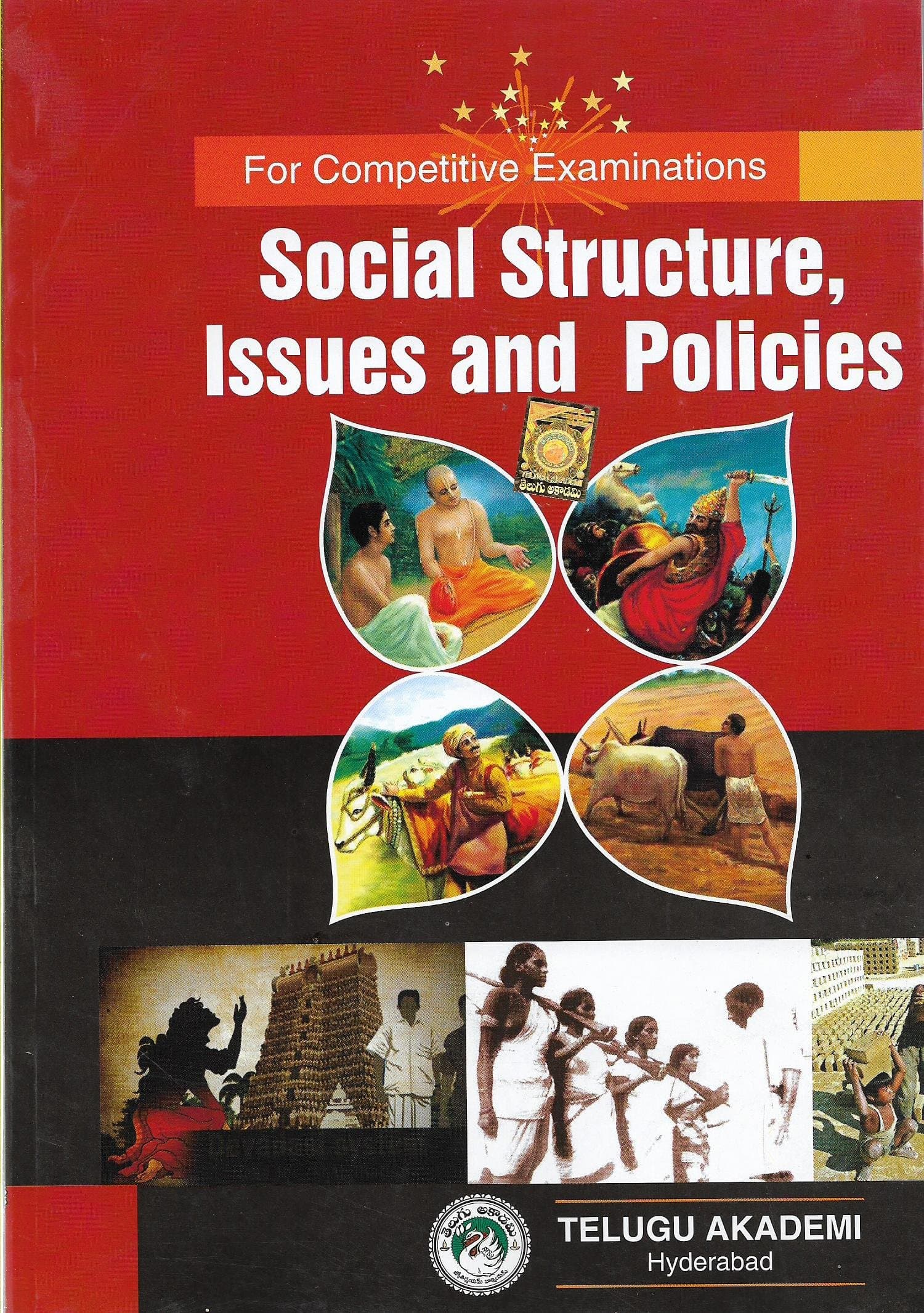 Social Structure, Issues and Policies Paperback – 1 January 2016