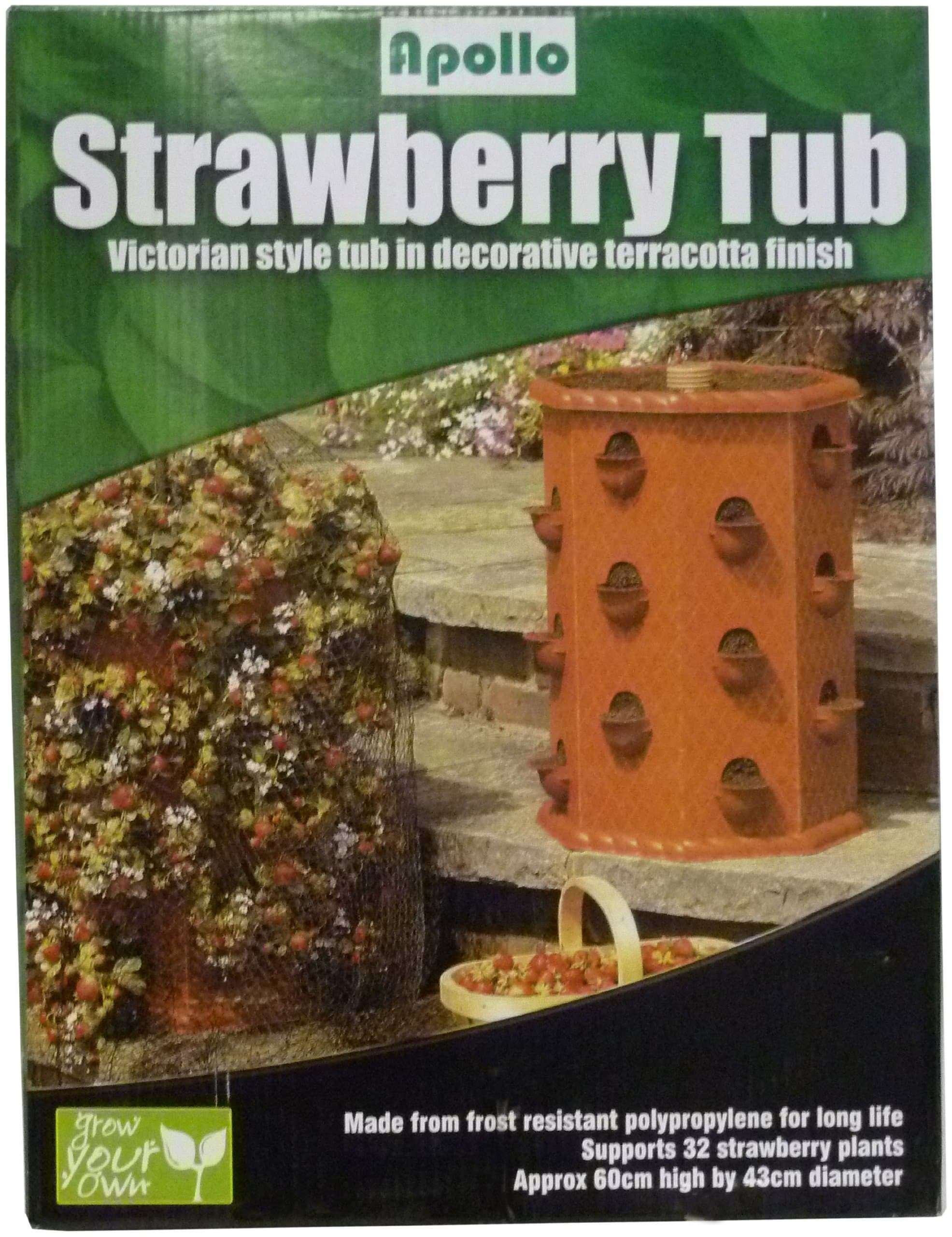 APOLLO STRAWBERRY TUB 57238