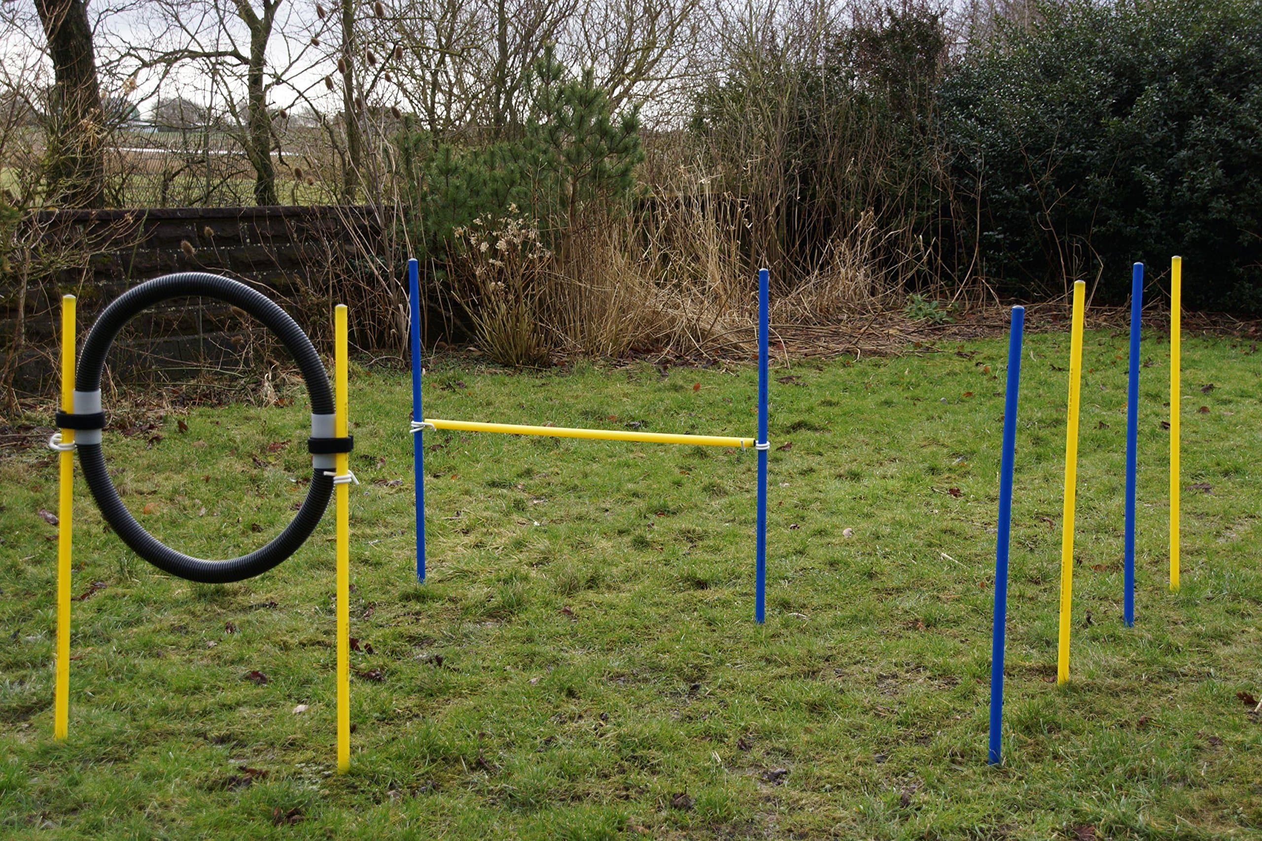 Wuzzmann Trading AGILITY - BEGINNER - SET, COLOR BLUE/YELLOW/BLACK, AGILITY STARTING KIT