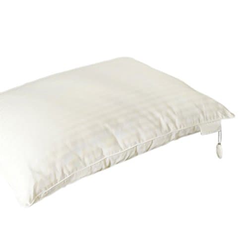 SILX Silk Filled Pillow, King