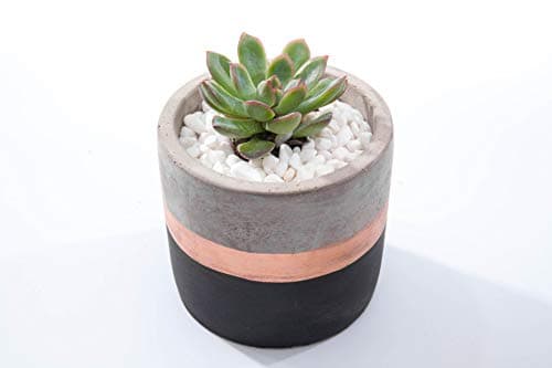 Opsuper Incense Holder