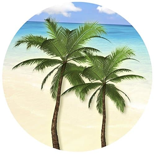 Screen Door Magnets – Twist, Click and Lock - Keep People and Pets from Walking into a screen door