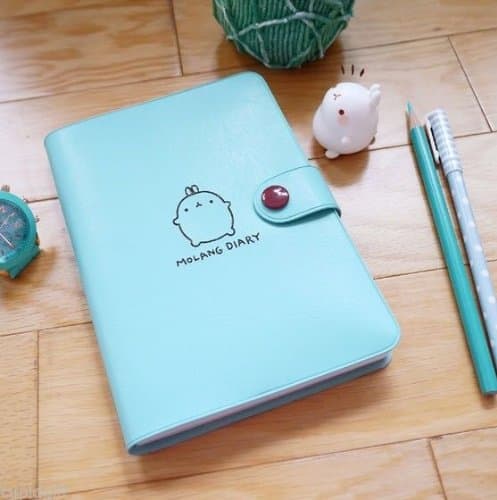 MOLANG Undated Diary Ver.2 Planner Journal Scheduler Organizer Personal Agenda & Adhesive Decoration Sticker 5 Sheets Cute Rabbit Kawaii 100% Authentic Korea Product by Cupid Gift Shop (mint)
