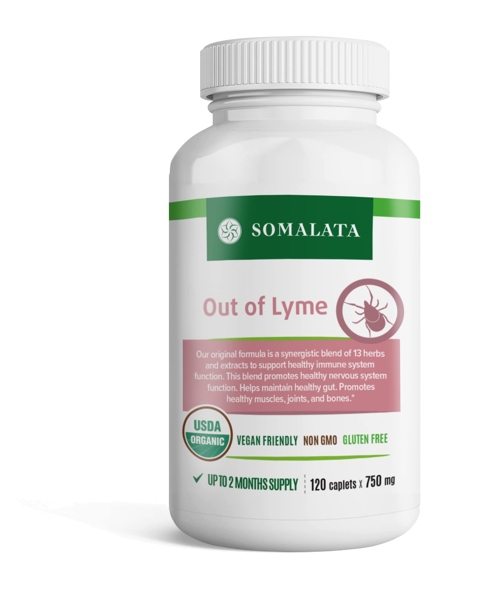 Original Formula - Immune System Support - Out of L