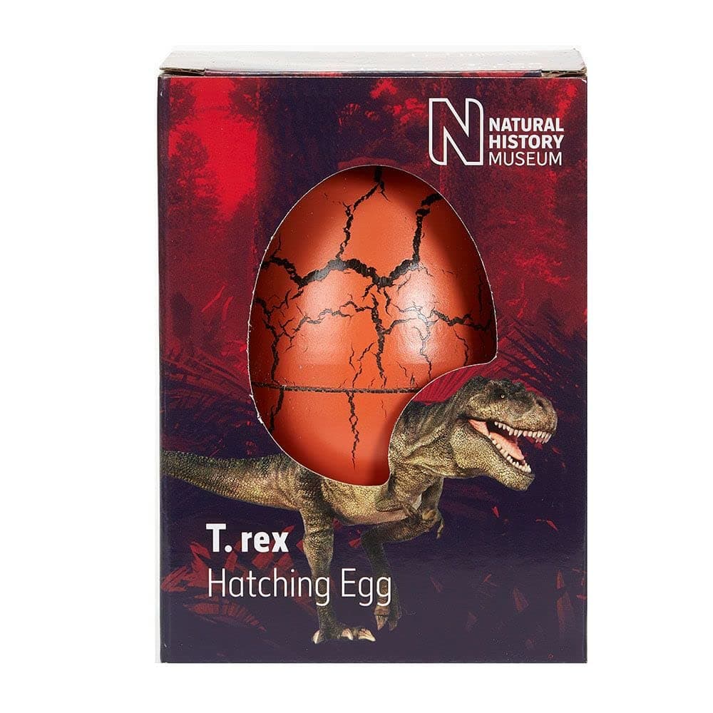Natural History MuseumT. rex Hatching Egg in a Box