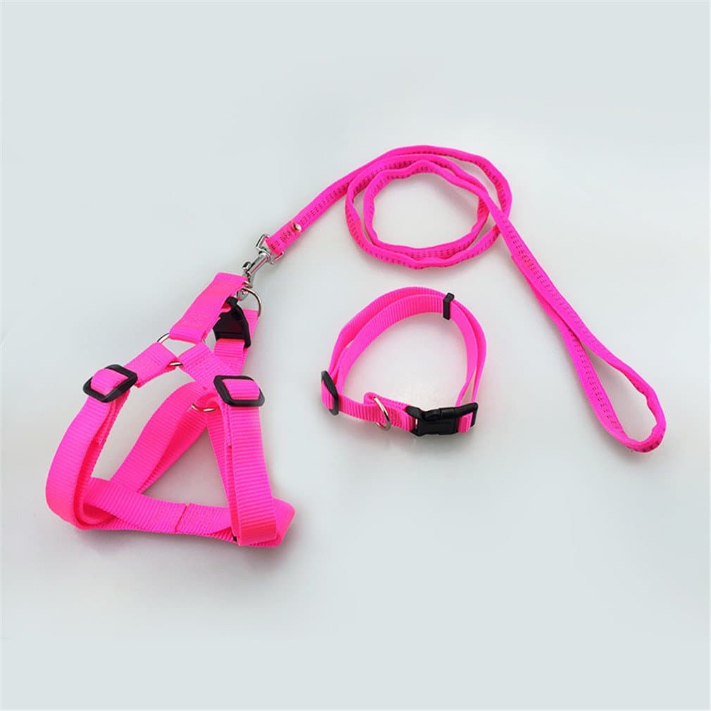 Nylon Durable Safe Strong Soft Adjustable Matching Nylon Dog Harness and Lead Set for Small Medium Large Dogs and Puppies Great for Walking Training