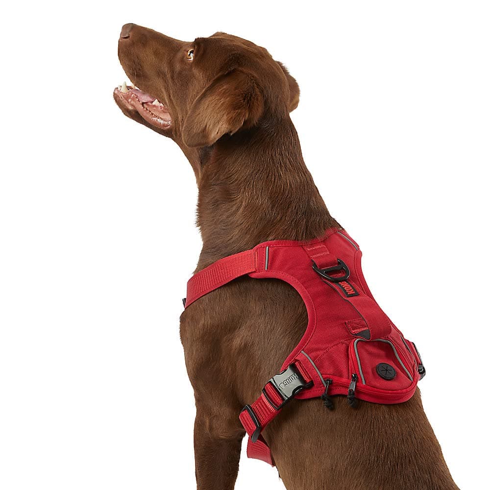KONG Ultra Durable Waste Bag Harness (Medium, Red)