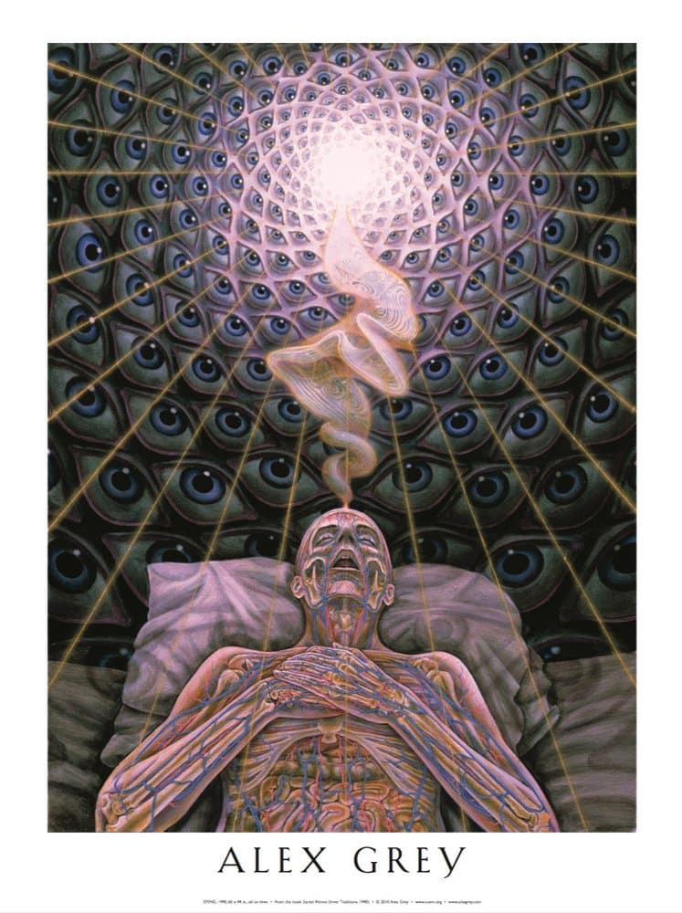 Alex Grey - Dying - Poster