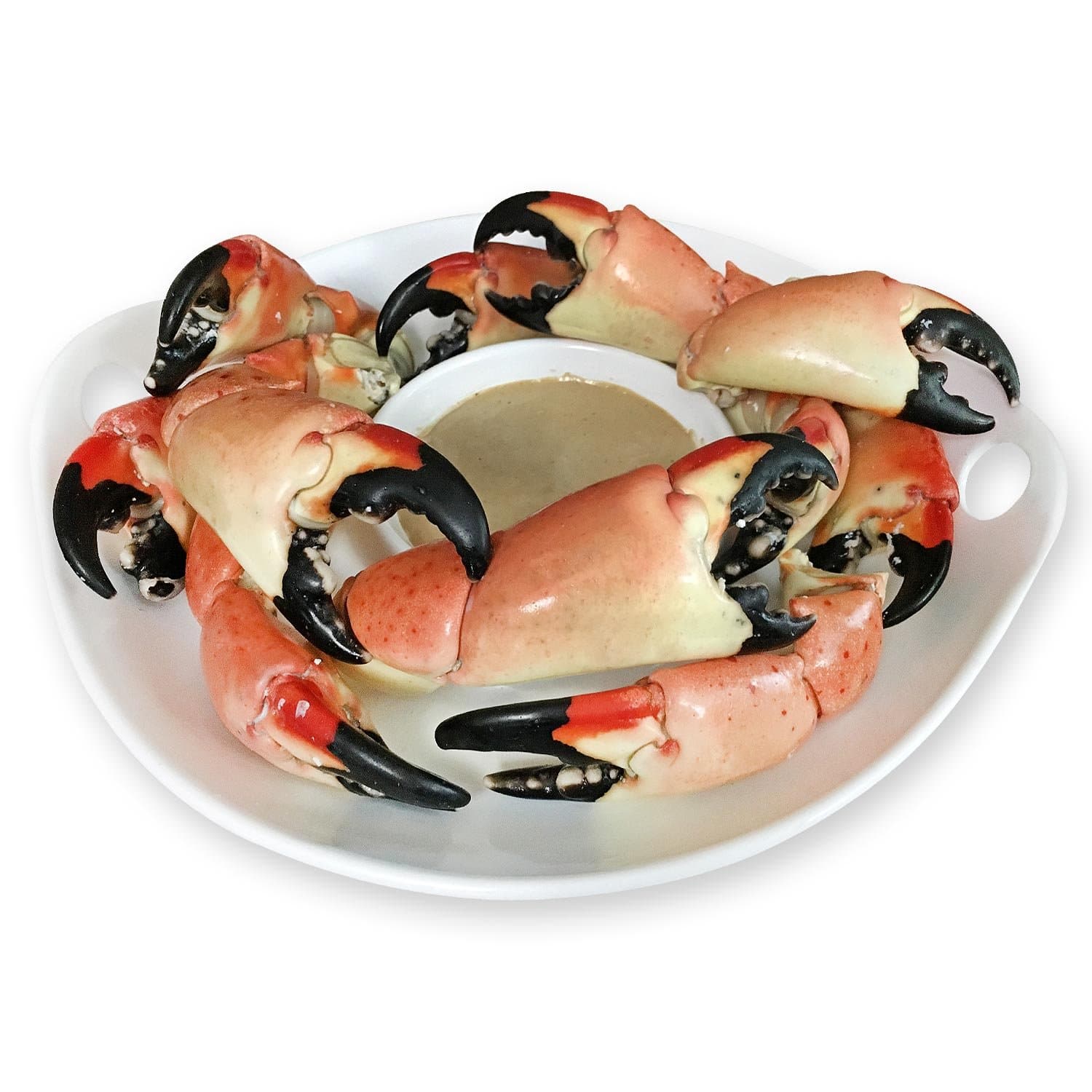 Fresh Stone Crab Dinner for 2 - Colossal - 5 lbs.