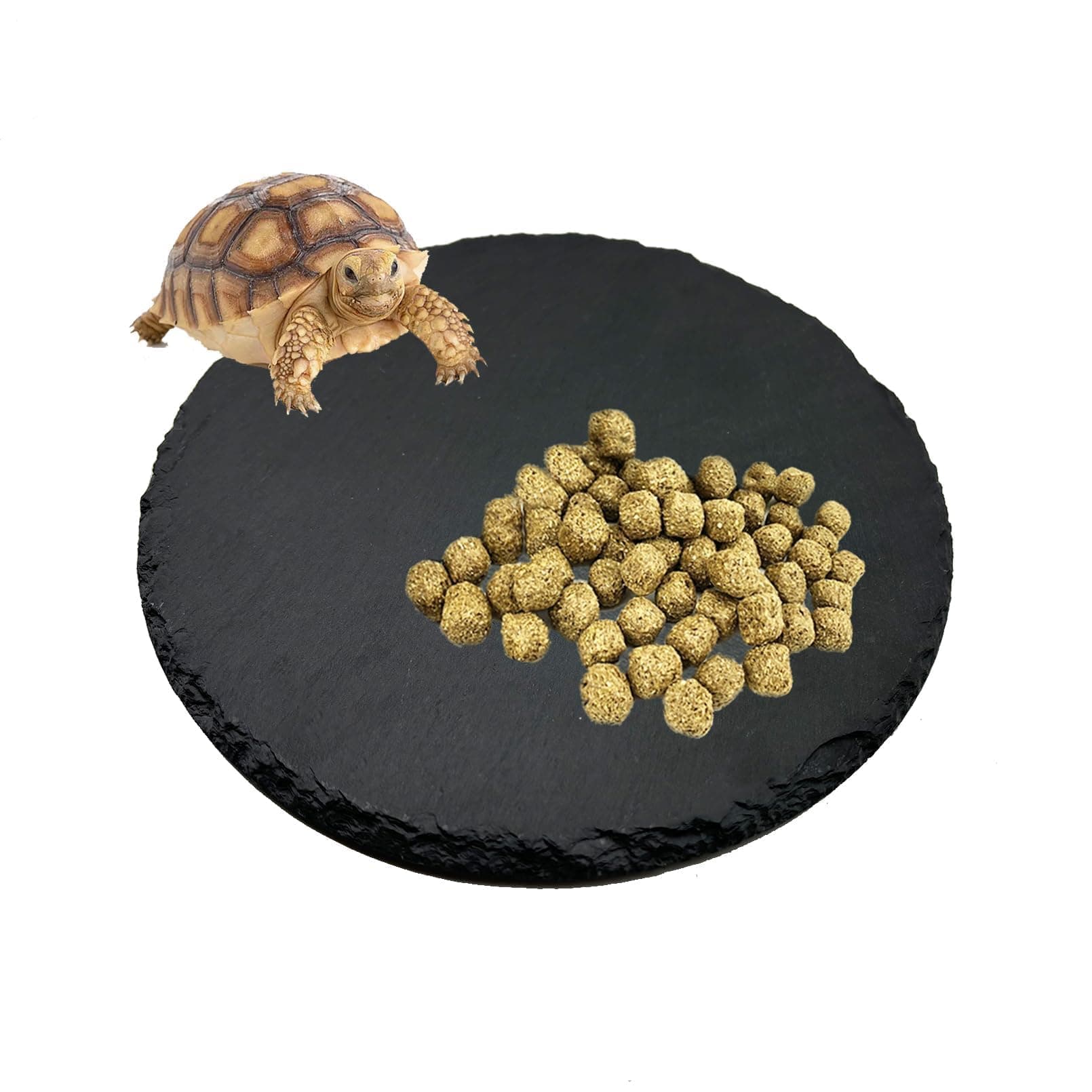 Tfwadmx Reptile Basking Platform,Tortoise Rock Slate Plate Feeding Platform Food Bowl Dish Turtle Bathing Rock Resting Terrace for Lizard Bearded Dragon Chameleon Gecko Snake Frog Newt