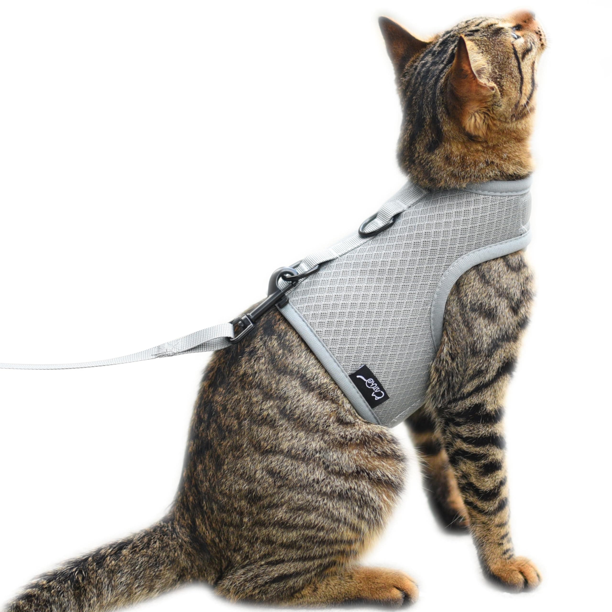 Cat Harness and Leash for Walking Escape Proof Breathable Mesh Fabric, Solid Grey, Large, Adjustable Cat Walking Jackets, Padded Stylish Cat Vest