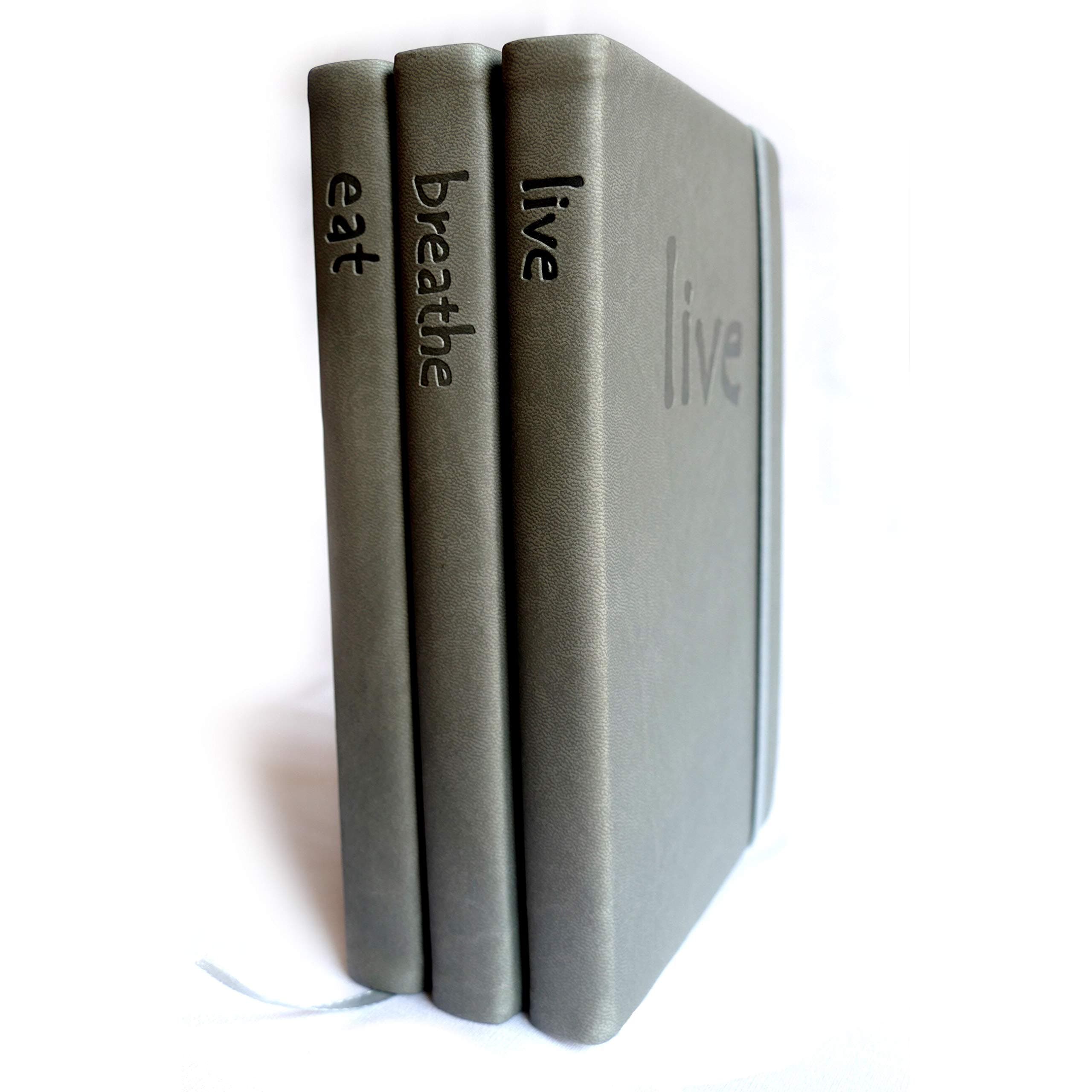 Dotted Notebook Set | 3 Journals with Dot Grid Pages | Undated Planner | Numbered Pages | DIY Contents | | Fine Thick Hardcover A5 Notebooks | 100 GSM Paper - Black Envelope - 256 Pages