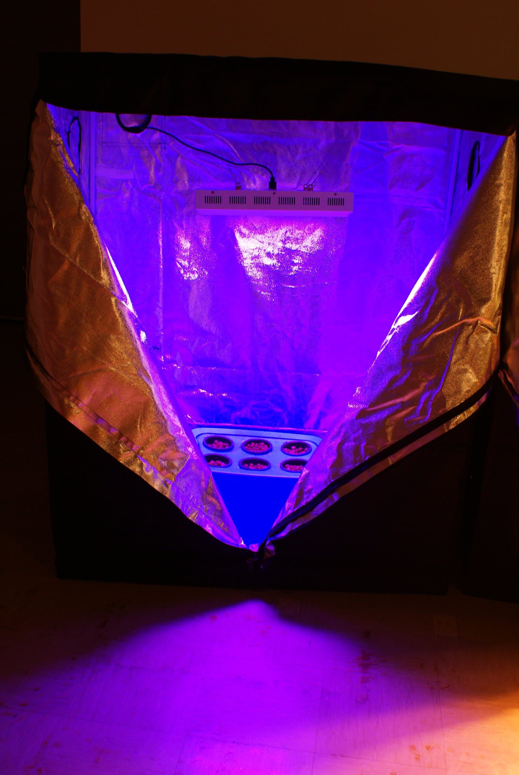 Hydroponics Starter Kit - Bud Buddy Complete Grow Tent / Grow Box with 300-watt LED Grow Light